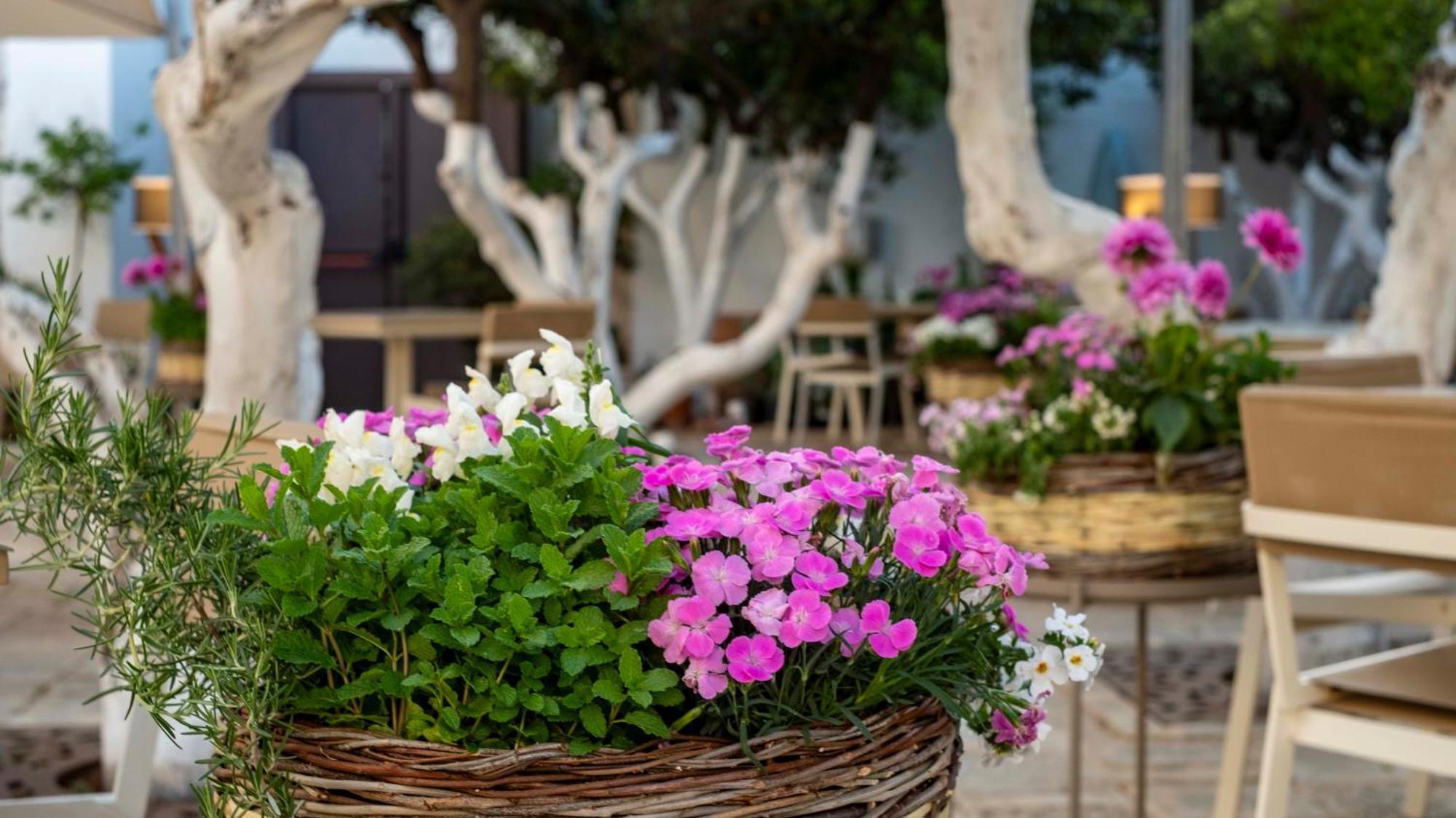 La Sommita Relais & Chateaux Ostuni Zewnętrze zdjęcie